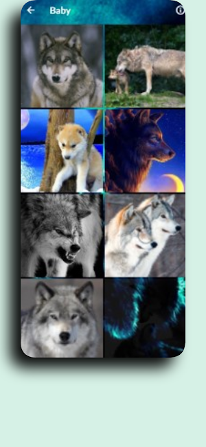 Wolf Backgrounds 4k/HD Screenshot 3