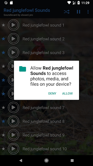 Red junglefowl Sounds ~ Sboard.pro Screenshot 2