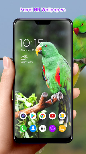 Parrot HD Wallpapers Screenshot 3