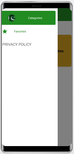 Message on Pak Flag Screenshot 2