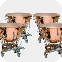 Timpani Real