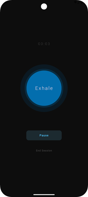 BreathSync Screenshot 2
