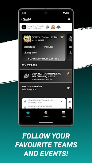 Play Hockey Screenshot 1