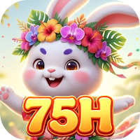 75HMaze