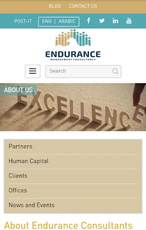 Endurance Consultant Services Screenshot 0