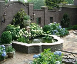 Fish Of Ponds Design Screenshot 1