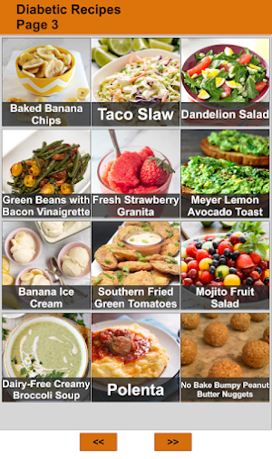 Diabetic Recipes Screenshot 2