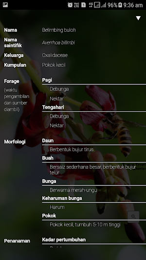 MARDI myBeeMenu Screenshot 3