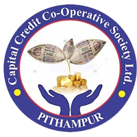 Capital Credit Co-operative