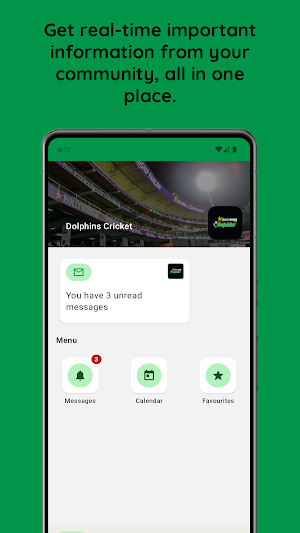 Dolphins Cricket Screenshot 0