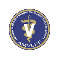 AMVEPE Tornado Eventos