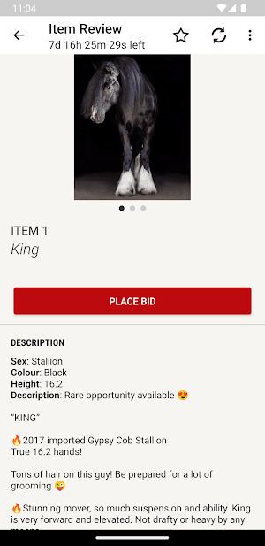 HHA Screenshot 2