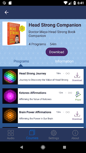 Bliss Mechanics Academy Screenshot 2