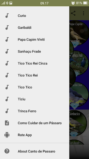 Canto de Passaro Completos Screenshot 2