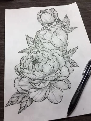 Flower Sketch Screenshot 1