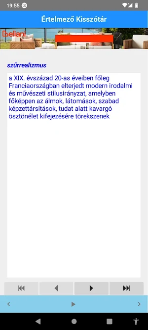 Értelmező Kisszótár Screenshot 2