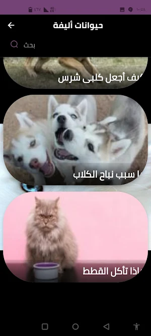 حيوانات أليفة Screenshot 0