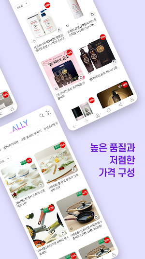 The ALLY Screenshot 3