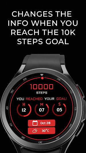 AD Digital 008 Screenshot 3