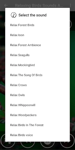 Relaxing Music & Birds Singing Screenshot 1
