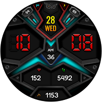 DIGI TRANSCON WS32 Watch face
