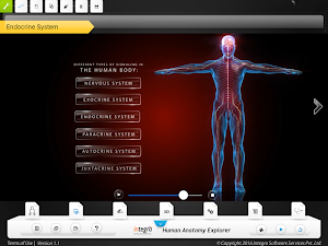 HumanAnatomy-Endocrine System Screenshot 2