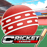 Cricket Blitz Arena