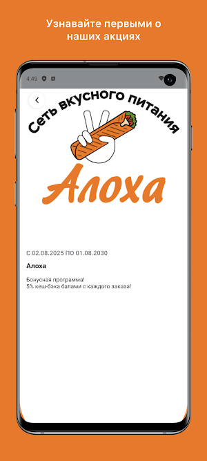 Aloxa.krd Screenshot 2