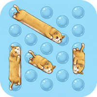 Cats Tap Away