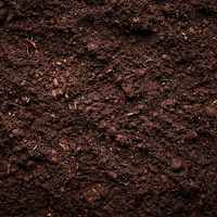 AI Soil Scanner