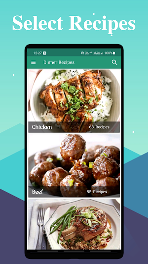 Dinner Recipes Pro Screenshot 0