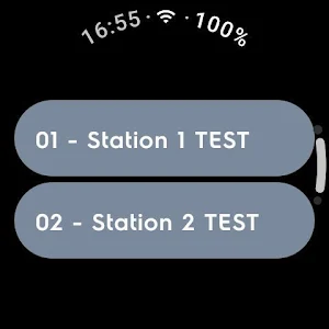Wearable Notifications Screenshot 0