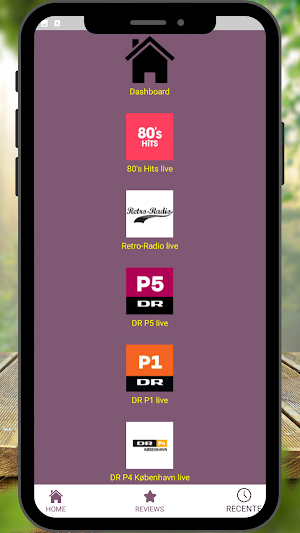 Denmark Radio Stations Screenshot 3