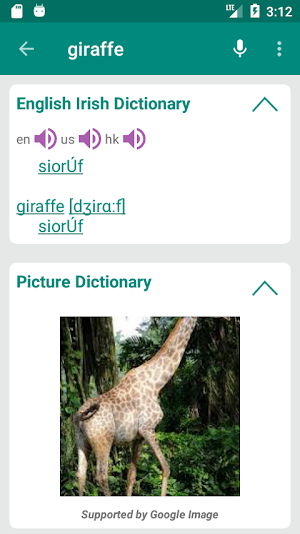 Irish English Dictionary Screenshot 1
