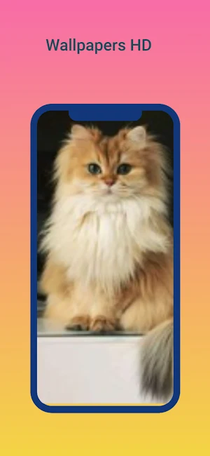 Cute Animals wallpapers Screenshot 2