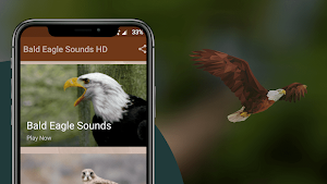 Bald Eagle Sounds Screenshot 0