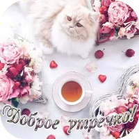 Открытки Доброе утречко