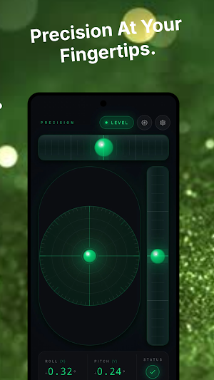 Precision Level Screenshot 1