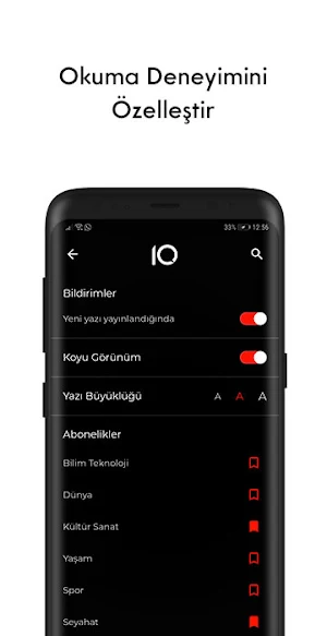 10Layn Screenshot 2
