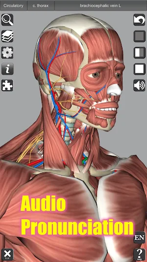 3D Anatomy Screenshot 2