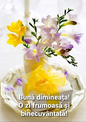 Buna dimineata Screenshot 2