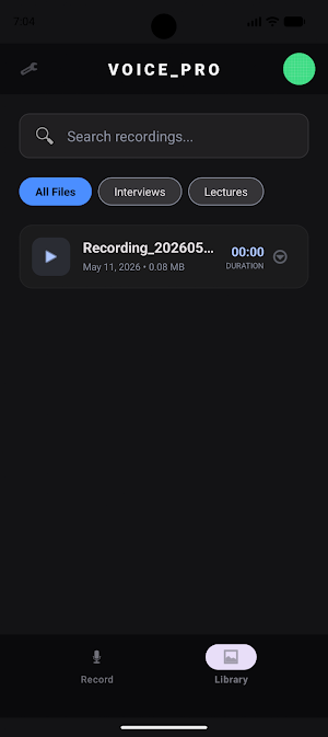 Voice Recorder Screenshot 2