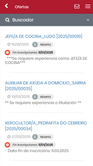 DEPUTACIONLUGO EMPLEO Screenshot 2
