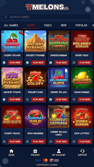 7melons Screenshot 3