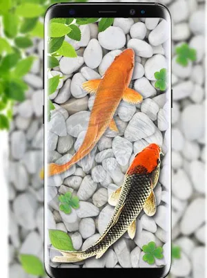 Fish Live Wallpaper 2020: Aquarium Koi Backgrounds screenshot 4