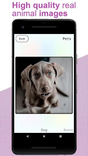 Animals for Kids - Flashcards Screenshot 3