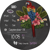 BFF136- Blackboard Art Parrot