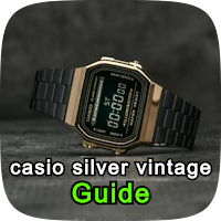 casio silver vintage guide