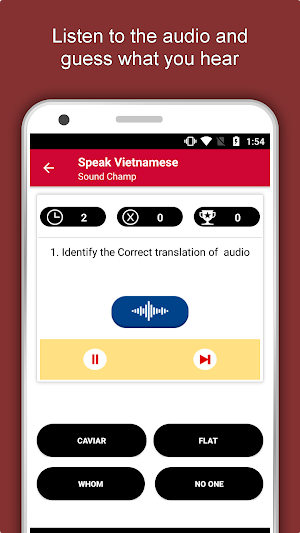 Speak Vietnamese : Learn Vietnamese Language Screenshot 3