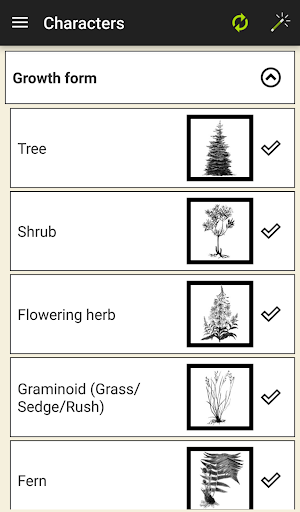 DenaliFlora Interactive Key Screenshot 2